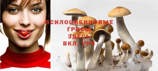 прущая мука Арсеньев