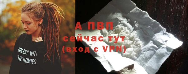 гашик Осташков