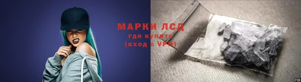гашик Осташков