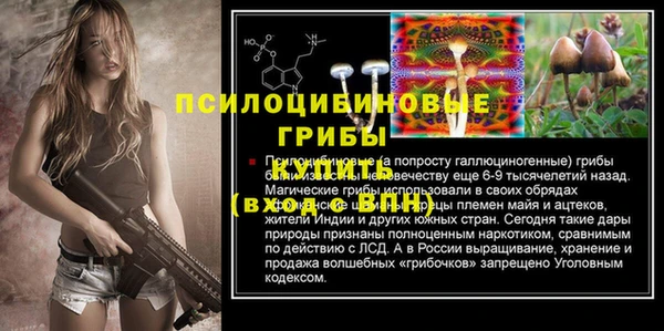 МДПВ Армянск